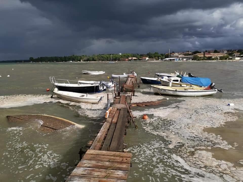 Villa Zoe Porec Esterno foto